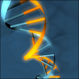 DNA diagram 