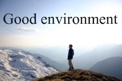 Good environmental news