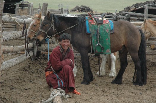 Mongolian man and horses